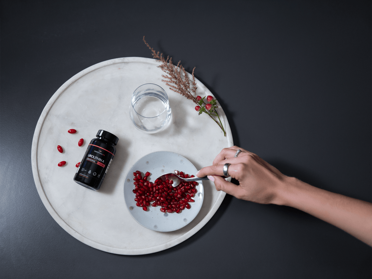 Urolithin A: What Human Trials Show About Muscle and Mitochondria - LifeUnlocked