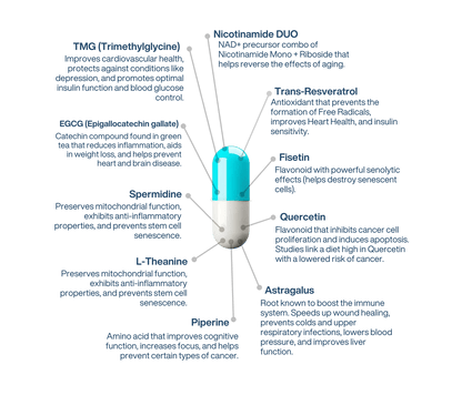 NAD+ Liposomal Longevity complex AEON 3.0 - LifeUnlocked